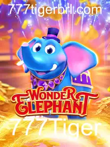 WonderElephant: Uma Aventura Épica no Mundo dos Jogos